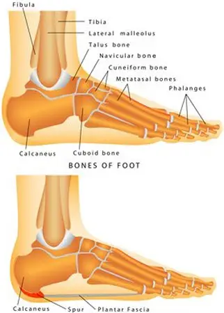 Foot and Ankle Orthopaedic Surgeon in Surat