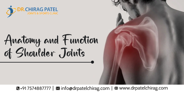 Anatomy and Function of Shoulder Joints