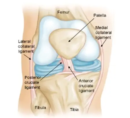 Acl Reconstruction in Surat